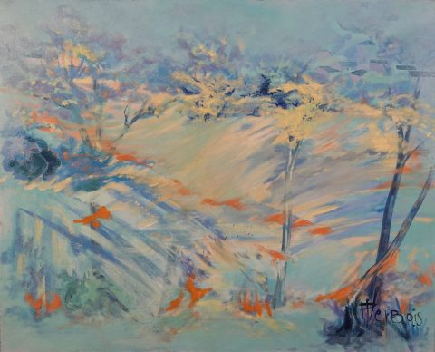 Paul-Verbois-foret-années-90