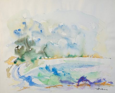 Paul-Verbois-marais