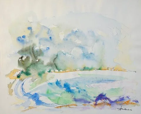 Paul-Verbois-marais