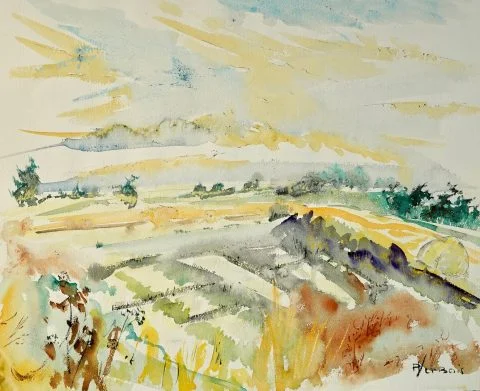 Paul-Verbois-marais-salants