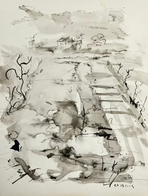 Paul-Verbois-marais-salants-à-l&rsquo;encre
