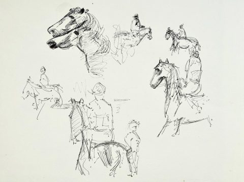 Paul-Verbois-recherche-équines