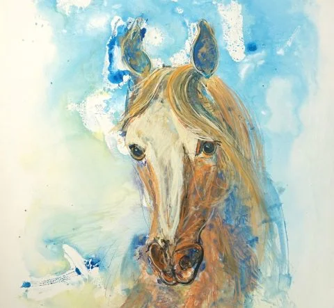 Paul-Verbois-tête-cheval-alzan